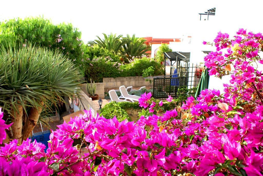 דירות סן מיגל דה אבונה Casa San Miguel מראה חיצוני תמונה